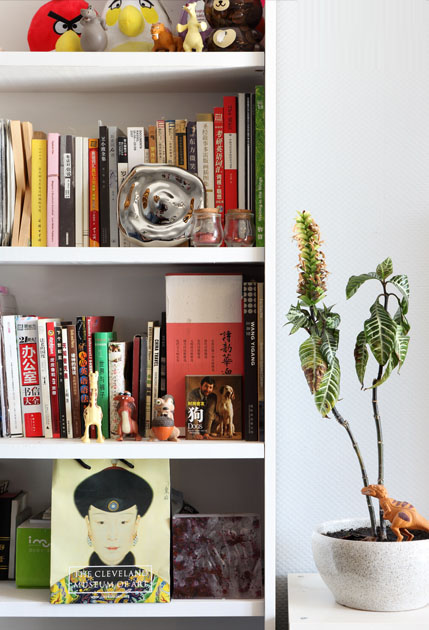 ��(chu��ng)�⼃��Ҿ�ˇ�g(sh��)����╺��ļ�