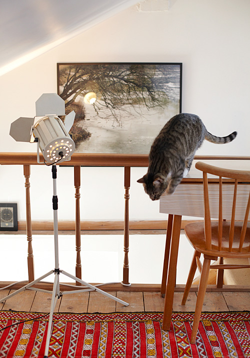 �r(sh��)�в����ζ¶���c����¼�