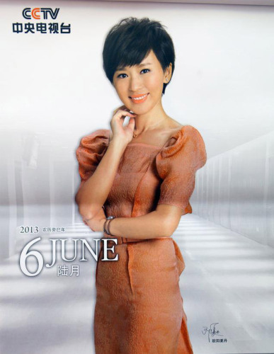 ��ҕ2013��v������^�ǳ����β