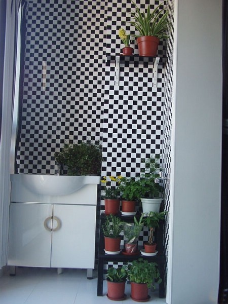 小陽臺的華麗變身(3)