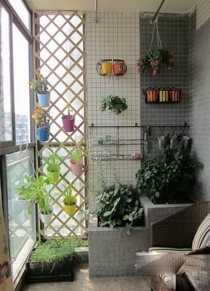 С�(y��ng)�_(t��i)���A��׃��(3)