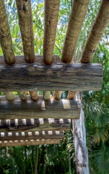 �̺��{������ĺ�߅�ȼ���