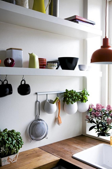 �N��Ȥζ�b�ů����(1)