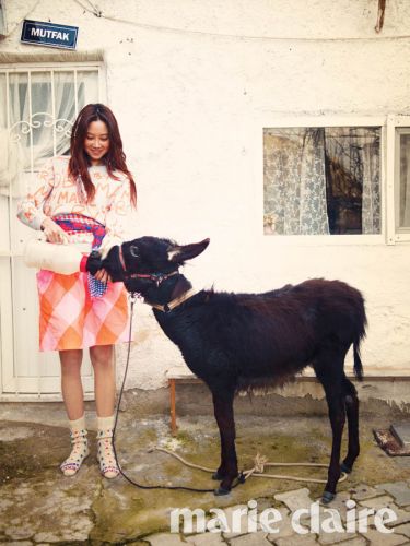 ��Т�桶���ˡ�����͸��Ů����