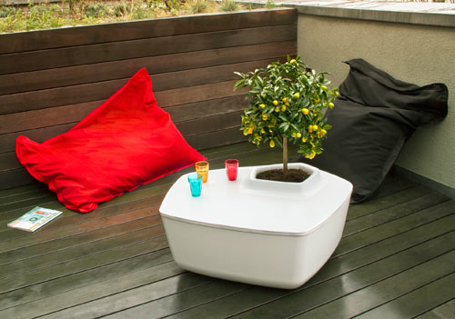 �����������Ҿ�׌�Ҿ�����`������