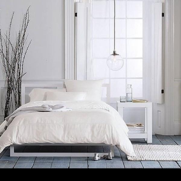 ���µ���˹���ļ{�S���L���P��(2)