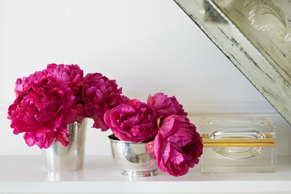 ���������탞�ŵĹ�Ԣ