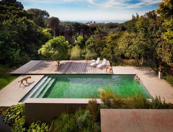 ��׽�՚��е���ДzӰ��ScottFrances