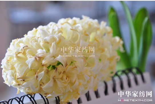 ���z������էů �������C(j��)