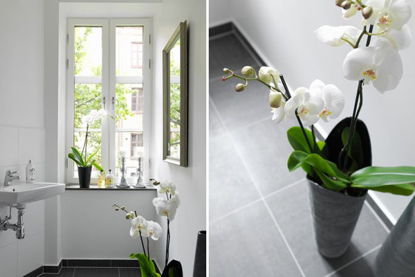 59ƽ����(chu��ng)��Ҏ(gu��)���I�쌒�ɿ��g