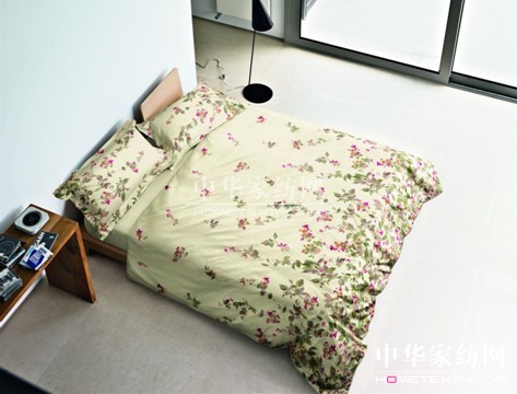 2013�����Ҿ����У�������ɫ���