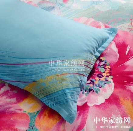 2013�����Ҿ����У�������ɫ���