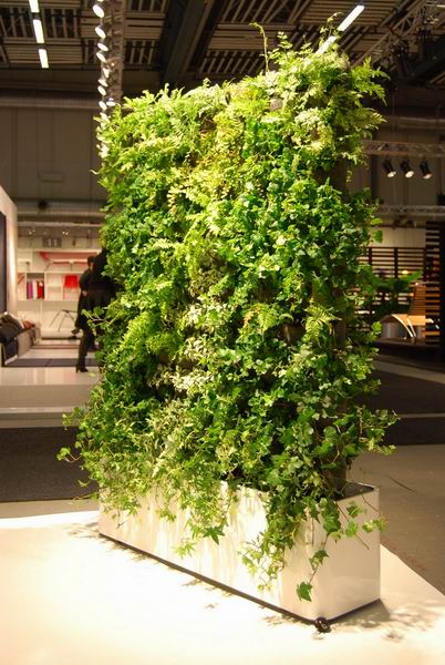 讓春色滿屋的辦公區室內綠植