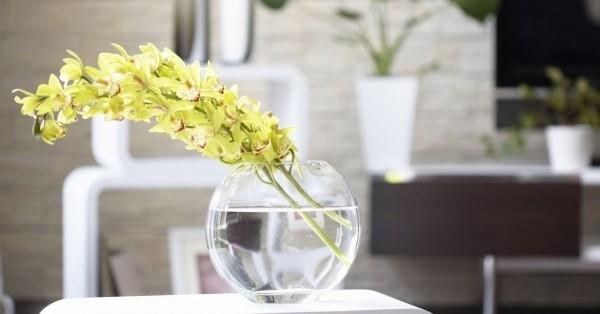 Ů������r����ܰ�ҾӲ����OӋ(3)