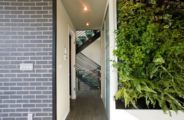 �h���J�C�������оGɫ�����wסլ