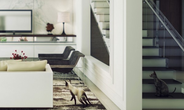 Խ���OӋ��AnhNguyen�OӋ��Ʒ