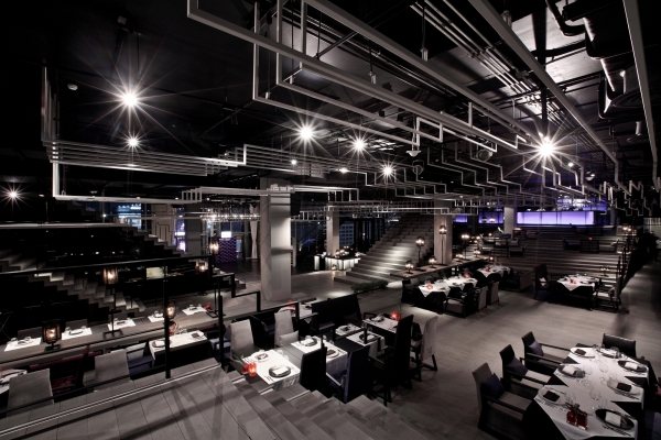 ̩������ZENSE�͏d