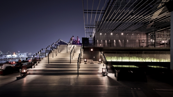 ̩������ZENSE�͏d