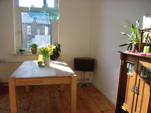 其樂融融溫馨氛圍用餐區燈飾(2)