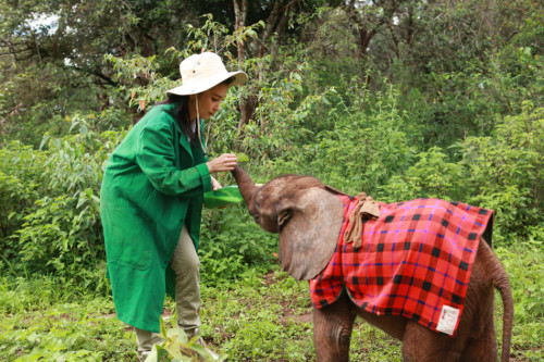 �������׃�ġ������h�����J�B����