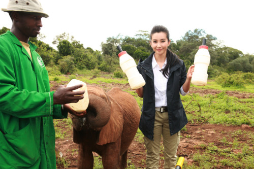 �������׃�ġ������h�����J�B����