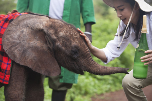 �������׃�ġ������h�����J�B����