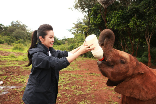 �������׃�ġ������h�����J�B����