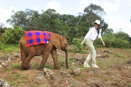 �������׃�ġ������h�����J�B����