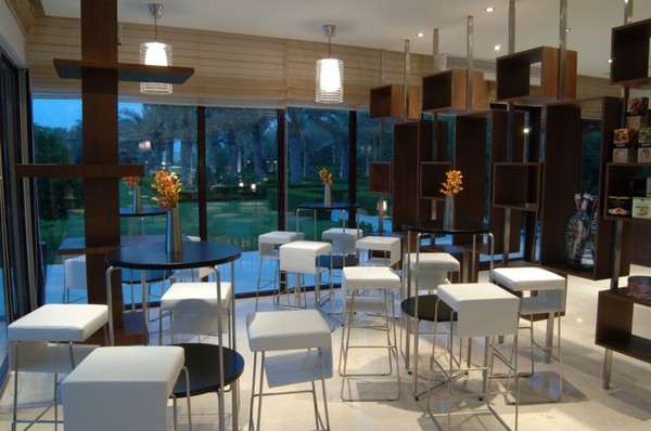 �ϰݵ����A�L(f��ng)��DesertPalm�ȼٴ�