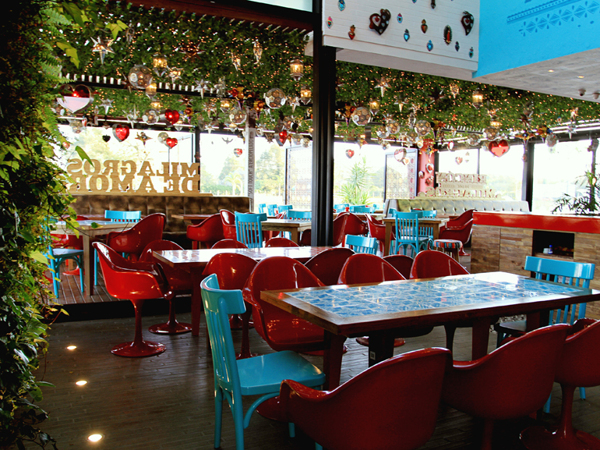 ī����Milagros�͏d