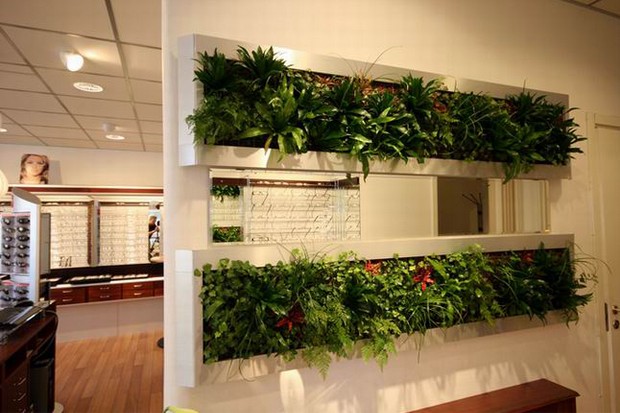 �������ʡ���g(2)