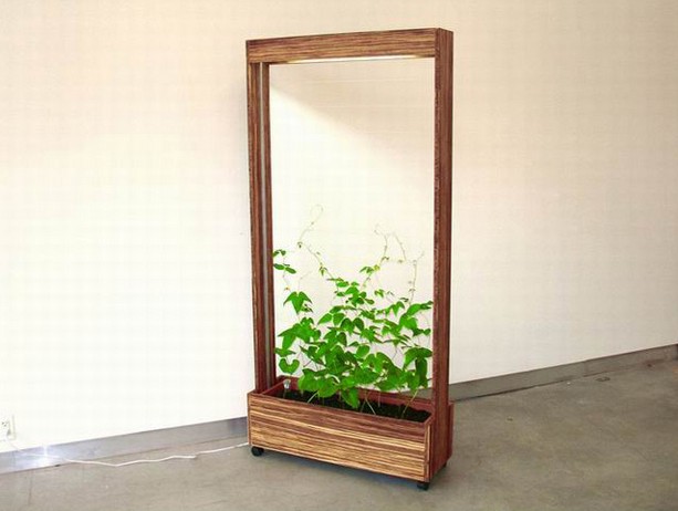 �������ʡ���g(2)