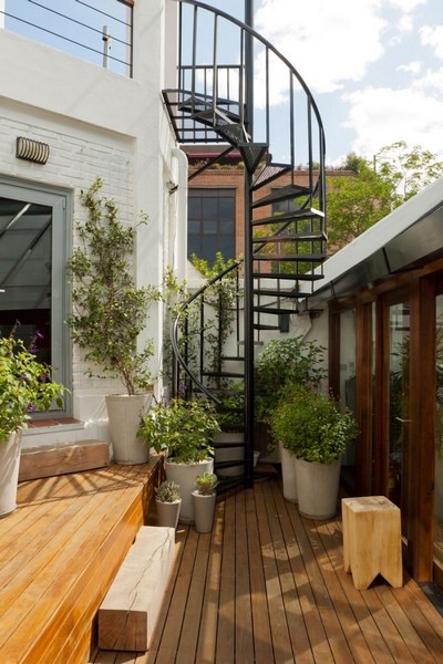 ��������k����AnimalMusic