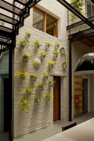 ��������k����AnimalMusic