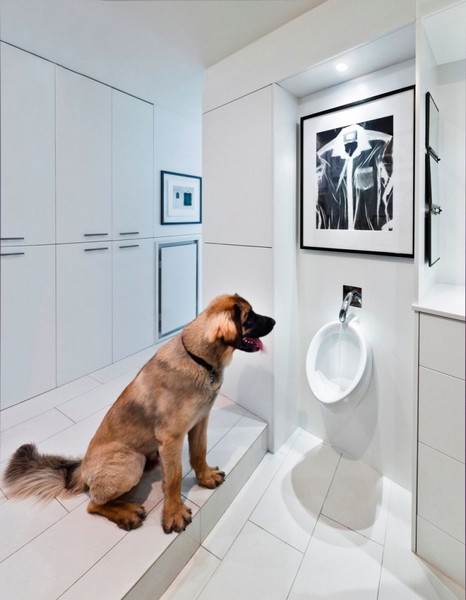 ���g�OӋ�м��ô��ɫ��Ԣ