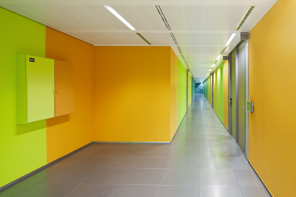 ɫ���S���ČWУ����