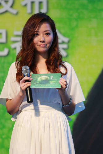 ���n�f�l��������������o����