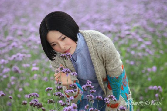 ���𻨺�������һ��չ��Ȼ������