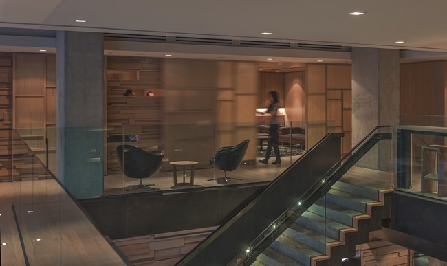 ������Momofuku�͏d