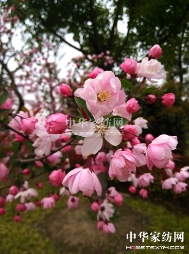 ���z�׌á�����▪���L�����}�zӰ��ِ�Є���Ļ