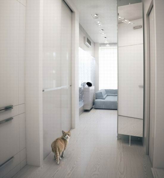 ���������ż����Ĺ�Ԣ