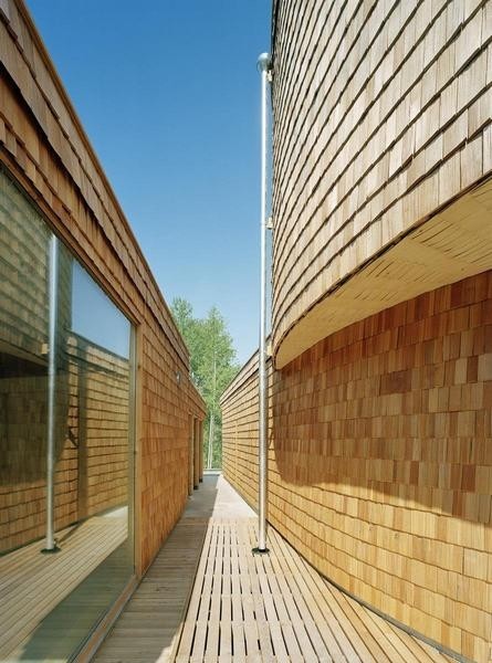 ���m��˹����������סլ