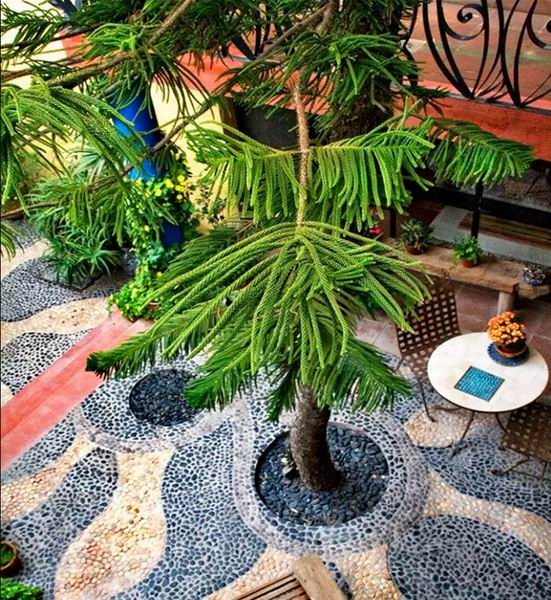 ī����ɫ���G����סլ