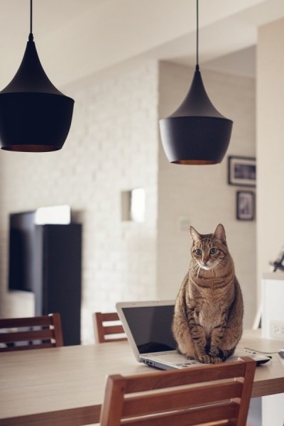 �F�����s�L��I-CHI؈��֮��