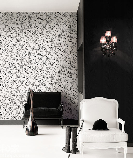 �ؿ�ζС�����L(f��ng)���f�N�ıڼ�(2)