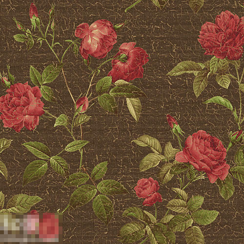 �ؿ�ζС�����L(f��ng)���f�N�ıڼ�(2)