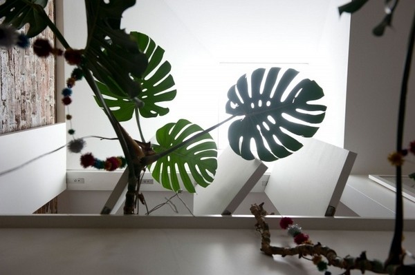 ľԪ��+ɫ�ʸа���ˇ�g������סլ