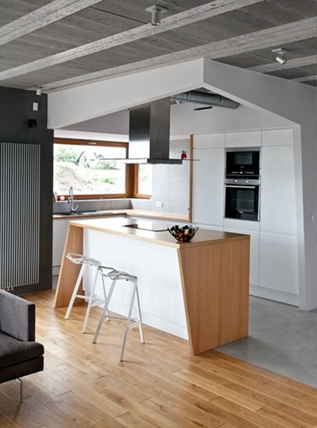 波蘭愛狗屋主極簡風公寓