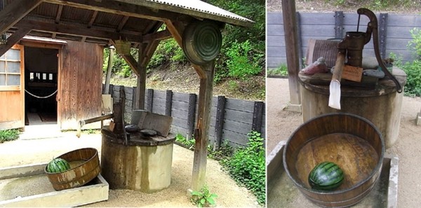 �挍��m���E����؈��͸��e��