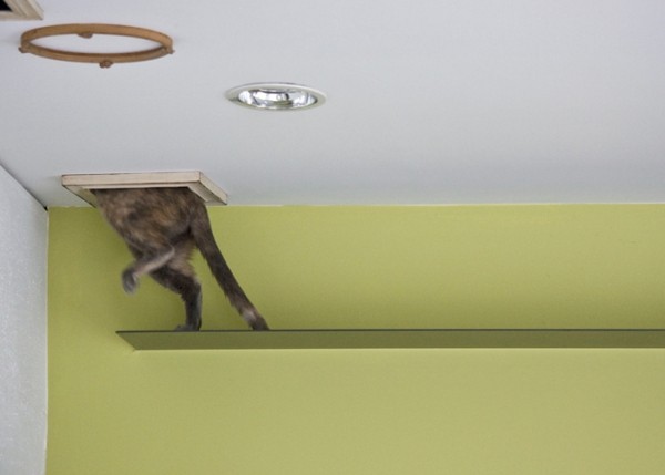 ؈�䌙���ձ������؈֮��